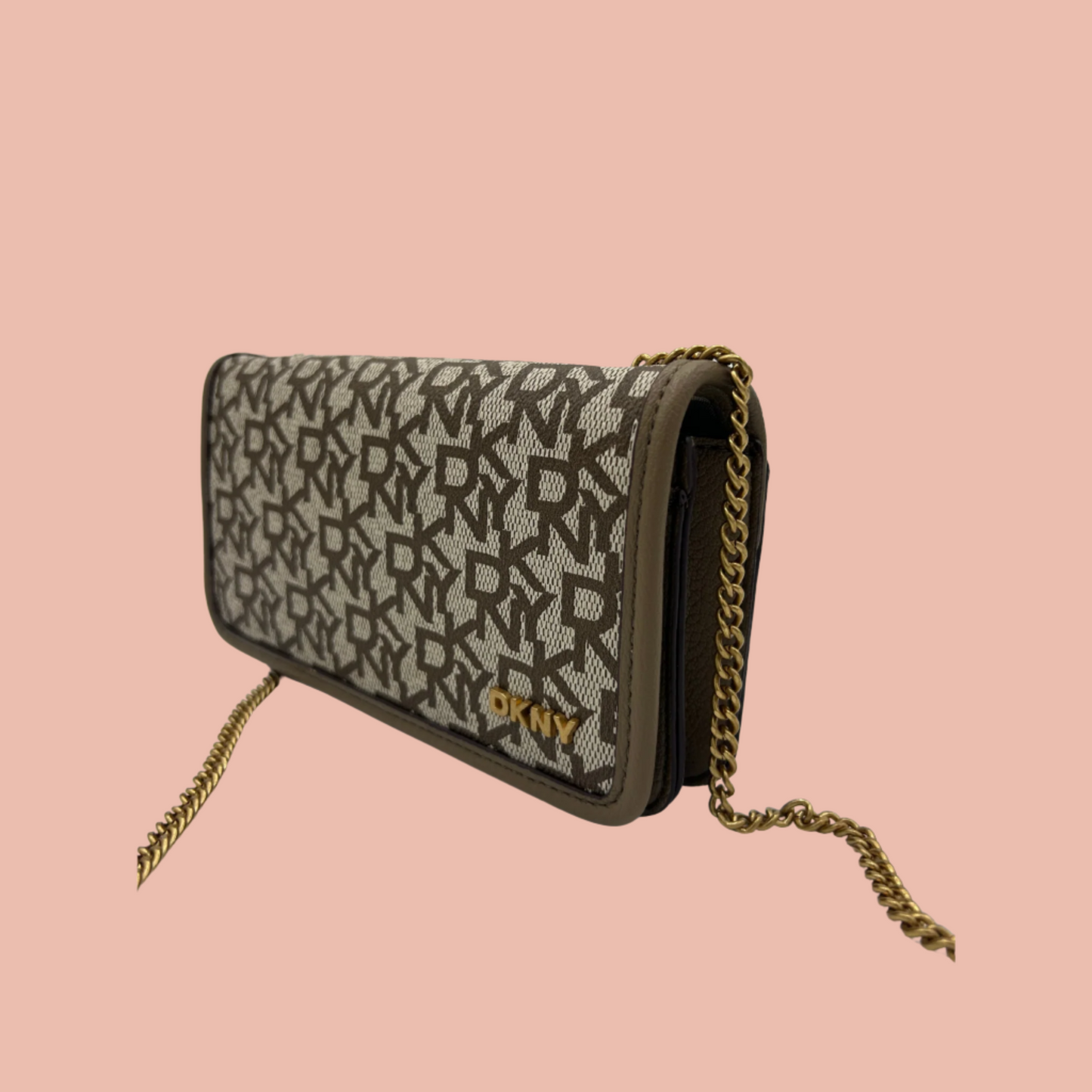 DKNY Rivi Chain Clutch & Crossbody