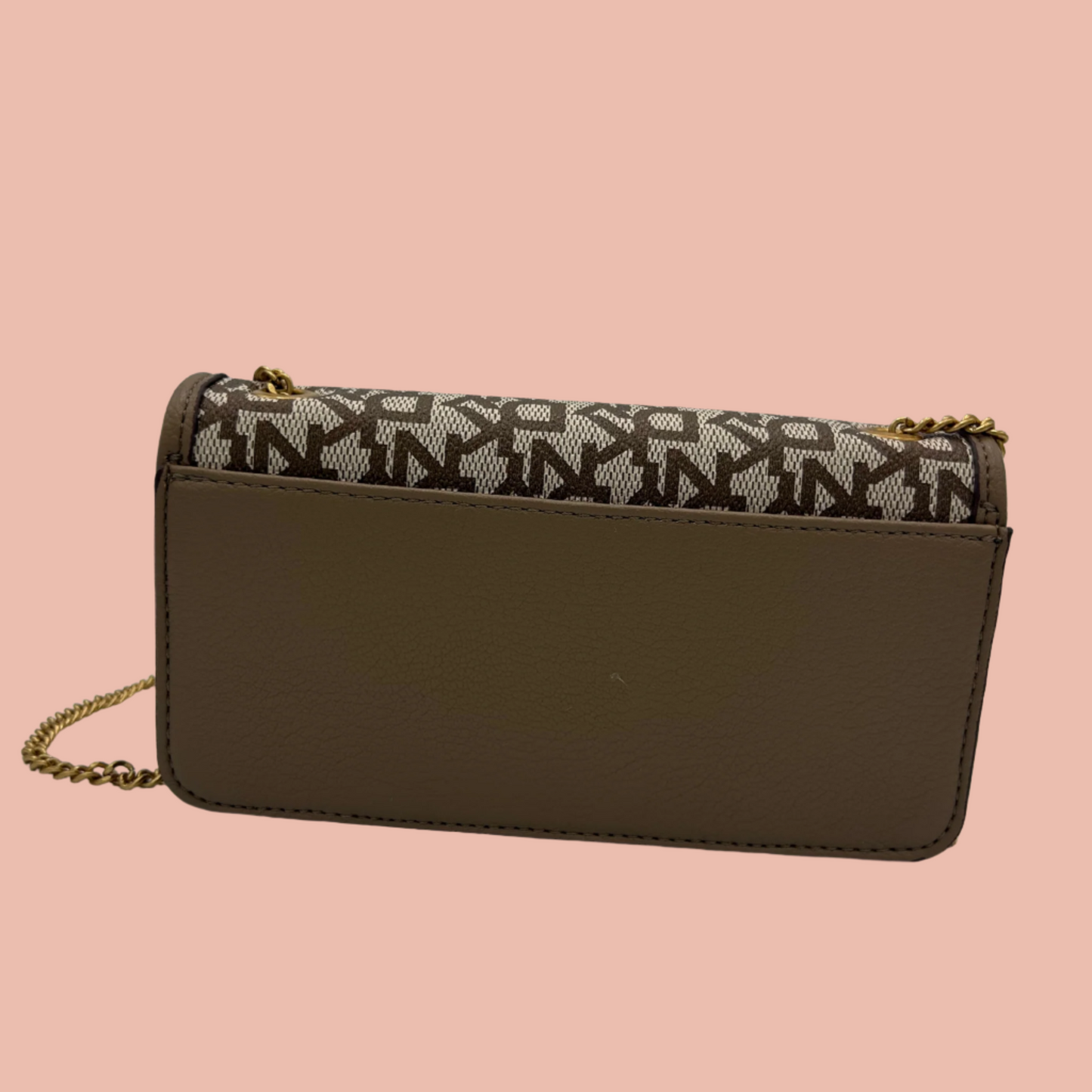 DKNY Rivi Chain Clutch & Crossbody