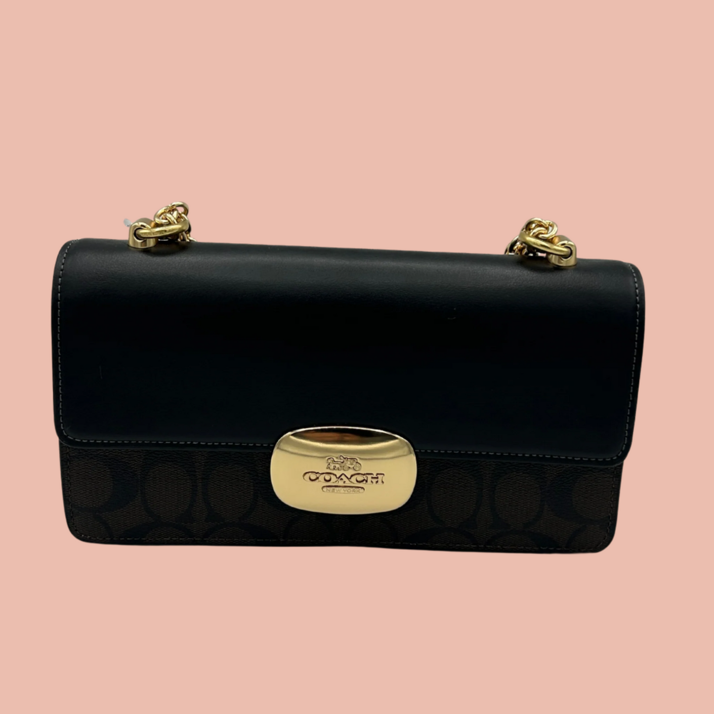 Coach Sig Eliza Crossbody