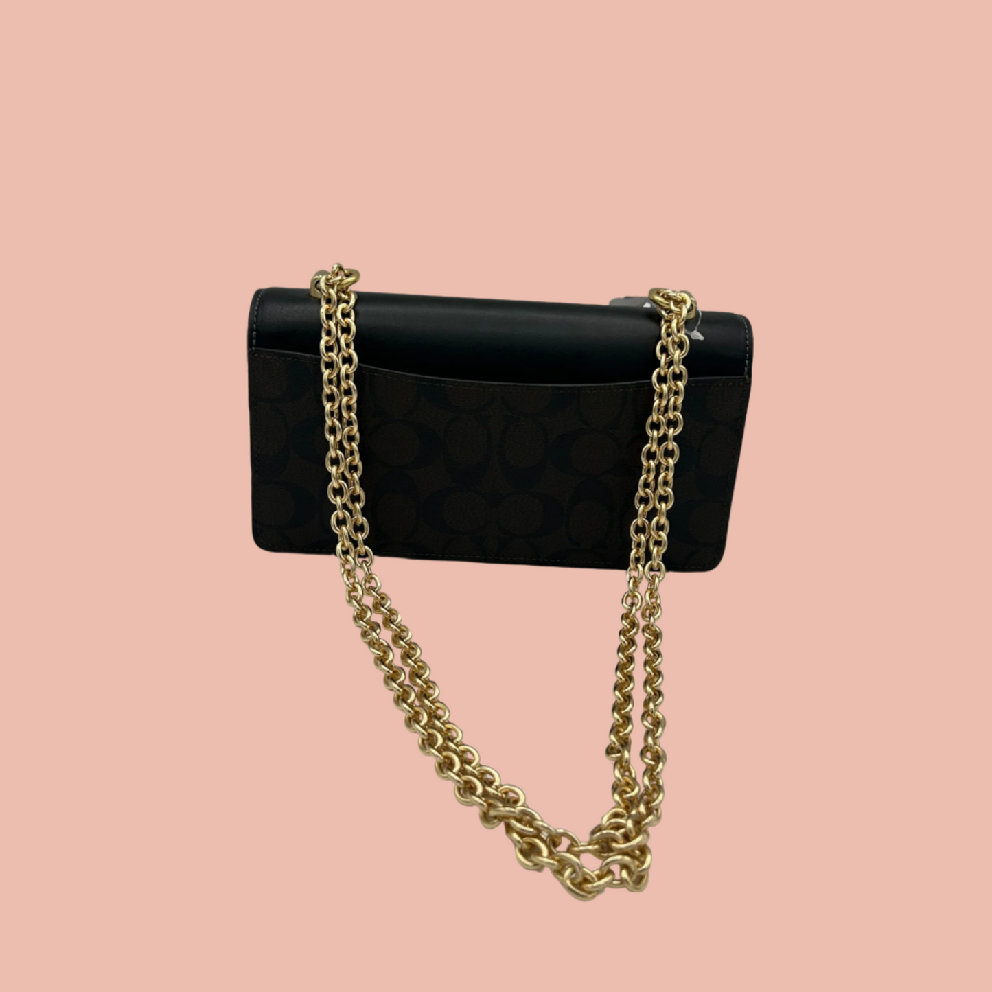 Coach Sig Eliza Crossbody